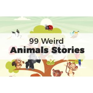 99 Weird Animals Stories – e-Book with Resell Rights